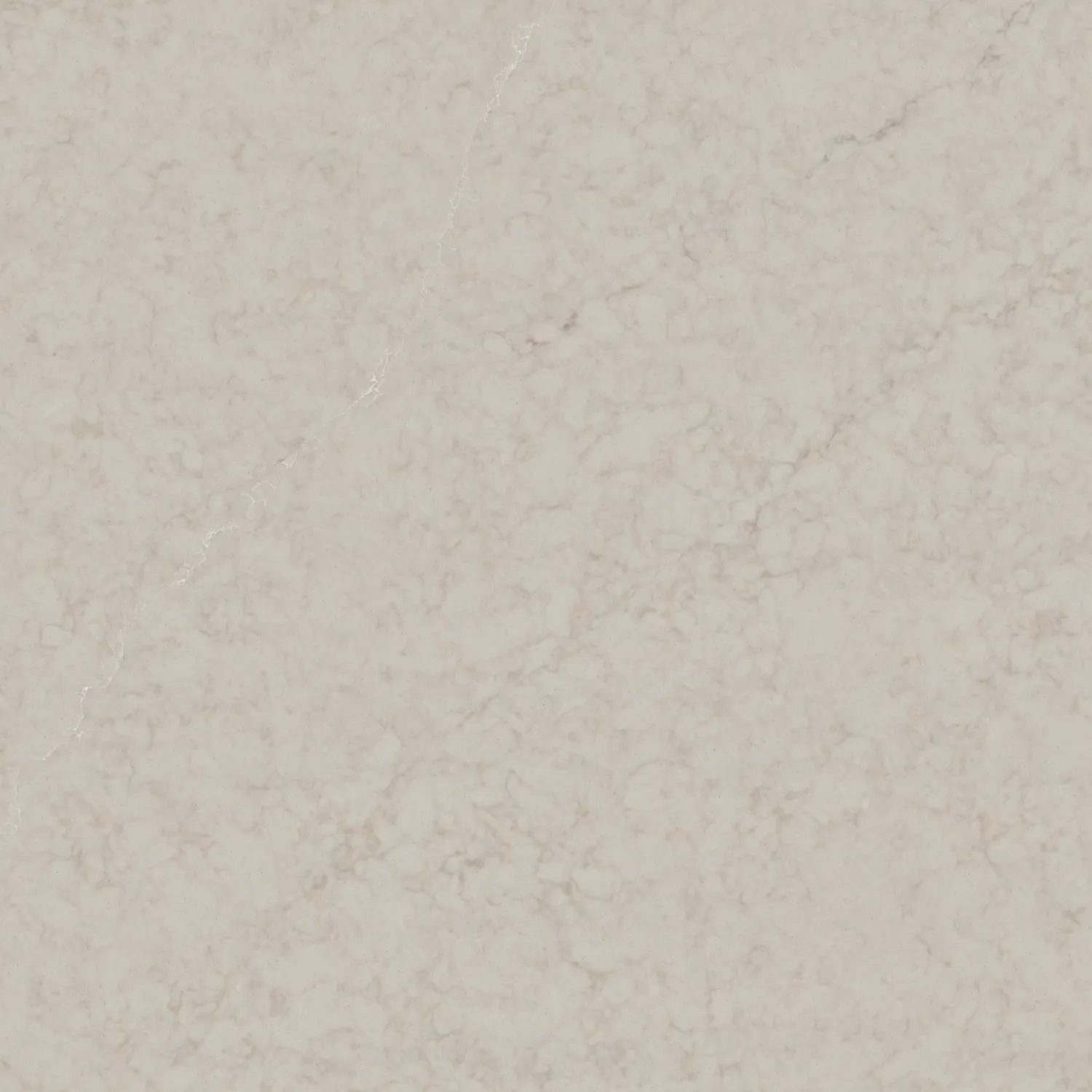 Dynasty White