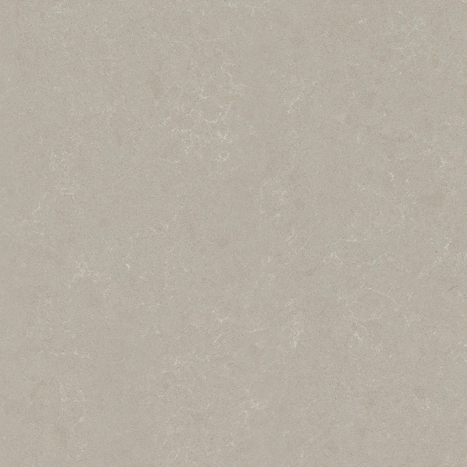 Noble Ivory White