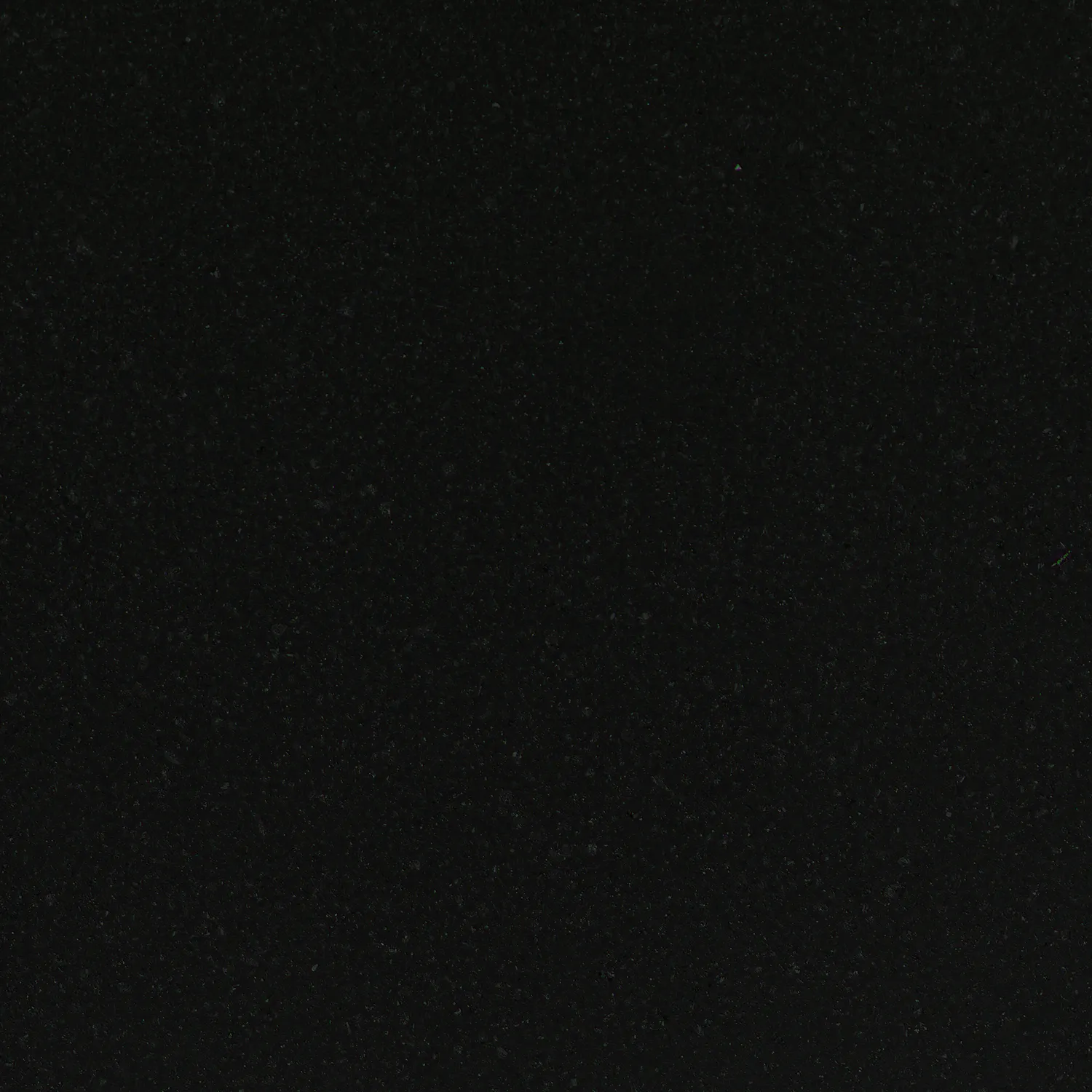 Taurus Black